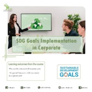 SDG Goals Implementation in corporate